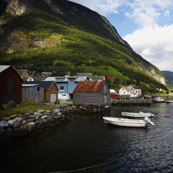 Sample image Sample image