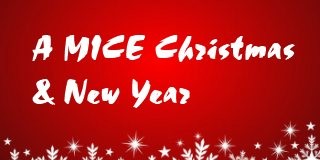 MICE Christmas