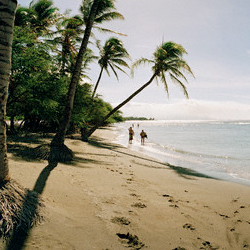 Sample image Sample image