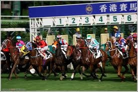 Sample image Sample image