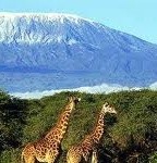 Tanzania Promotes its Tourism Vision Abroad