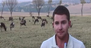 Shandor Larenty Lion Park Johannesburg