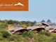 Mahali Mzuri – Virgin Limited Edition Special Offer Virgin-MM-2