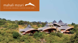 Mahali Mzuri – Virgin Limited Edition Special Offer Virgin-MM-2