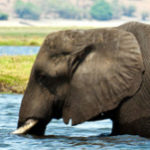 Profile picture of FunintheSun